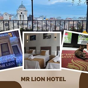 Mr Lion Kumkapı Otel